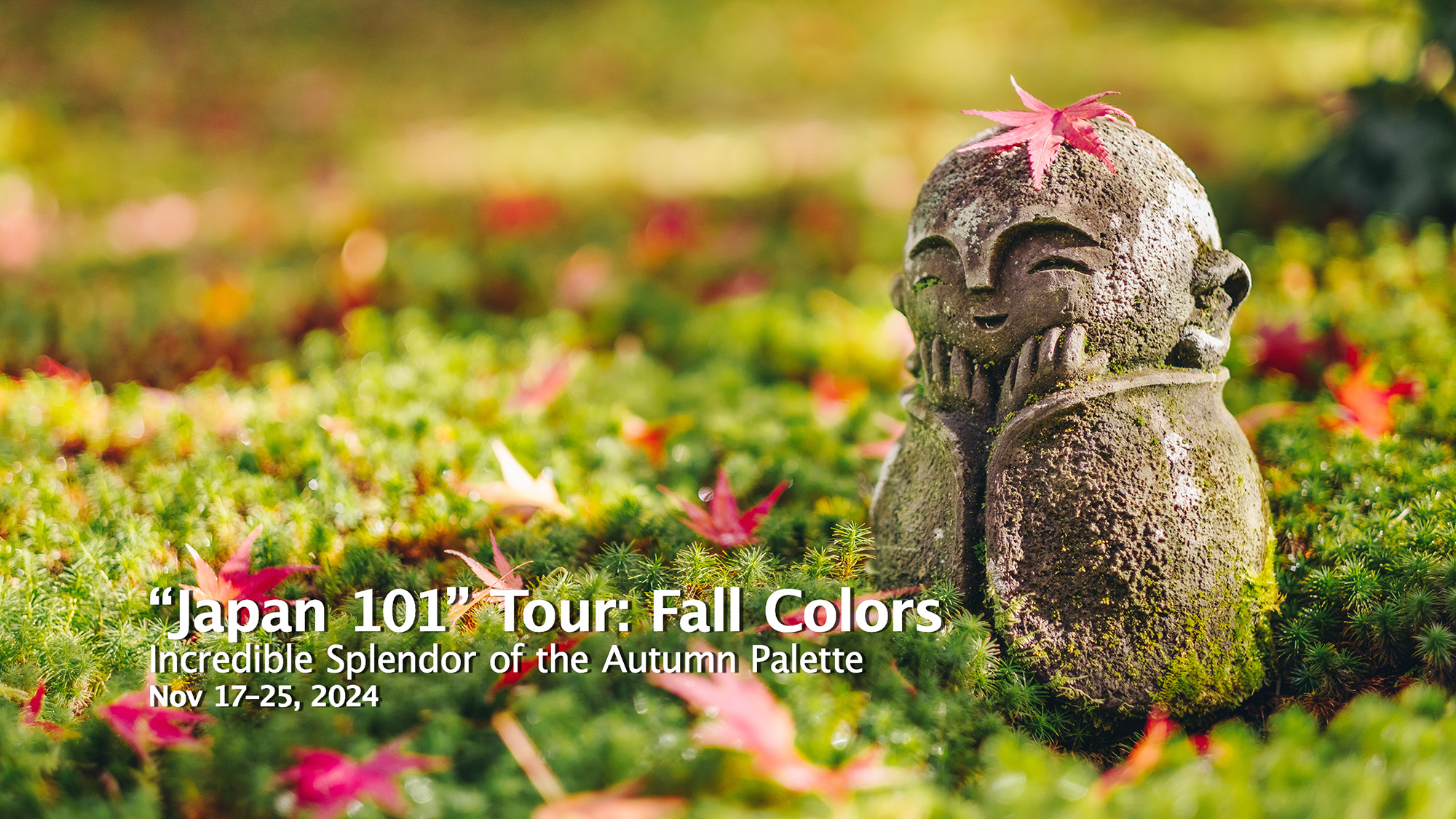 Tour: Japan 101, Fall Colors