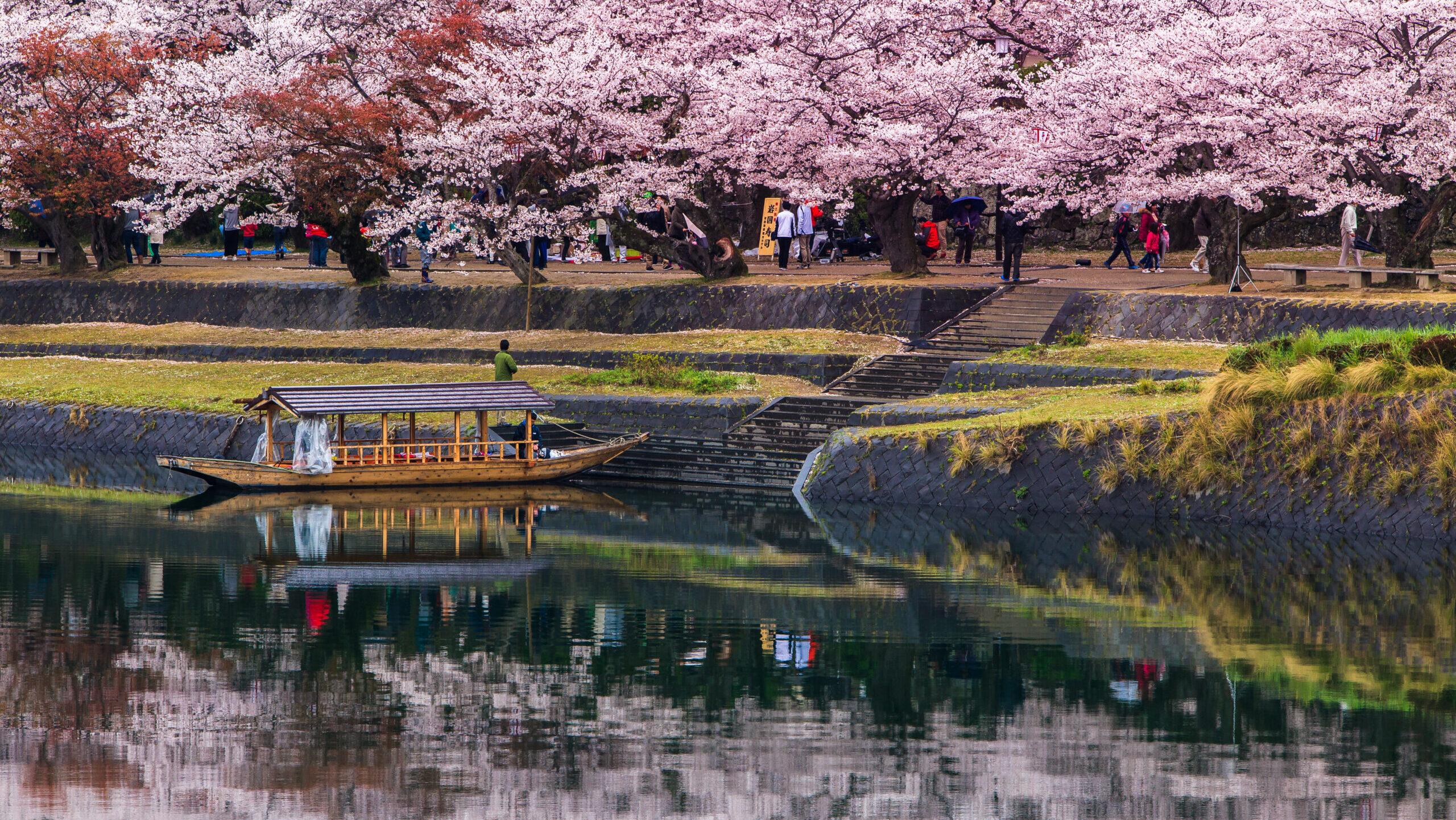 Workshop: Japan – In pursuit of Sakura